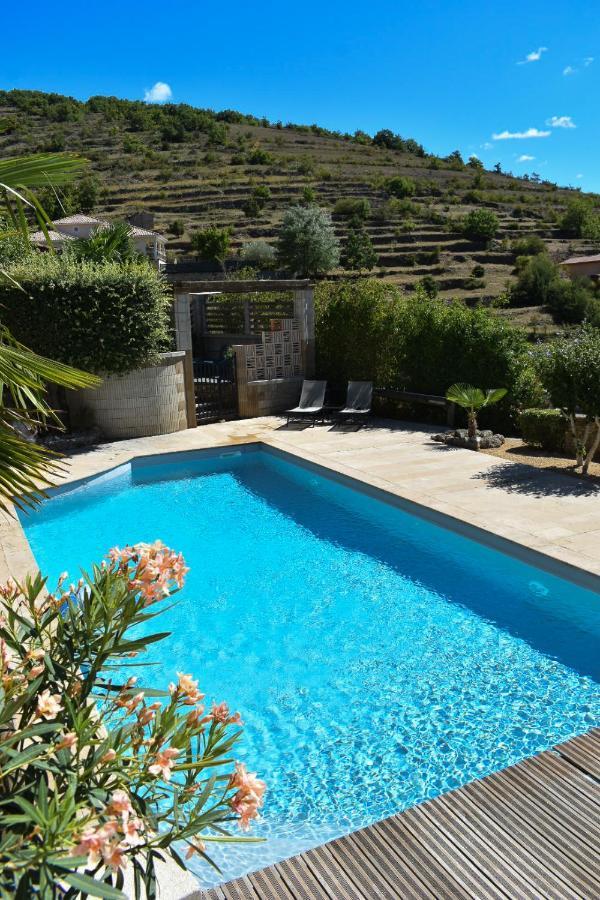 Les Palmiers Des Causses Villa Saint-Rome-de-Tarn Luaran gambar